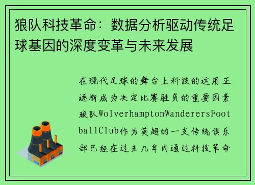 狼队科技革命：数据分析驱动传统足球基因的深度变革与未来发展