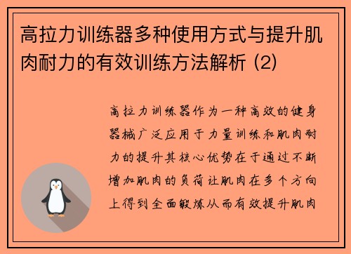 高拉力训练器多种使用方式与提升肌肉耐力的有效训练方法解析 (2)
