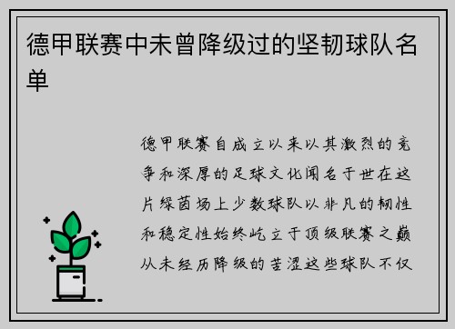 德甲联赛中未曾降级过的坚韧球队名单